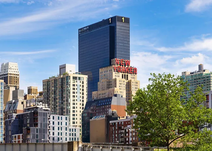 New Yorker By Lotte sAlbergo